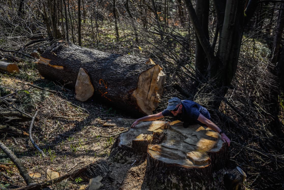 Photograph by Omar Marques — turnicki 10 of 15