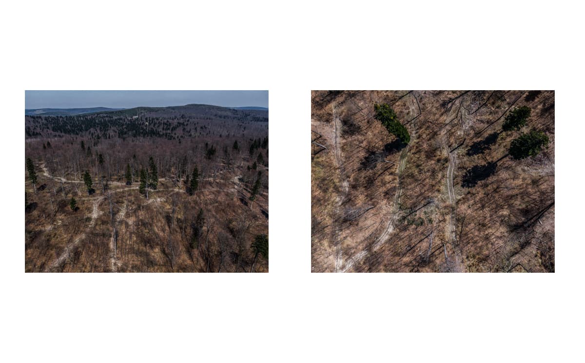Photograph by Omar Marques — turnicki 12 of 15