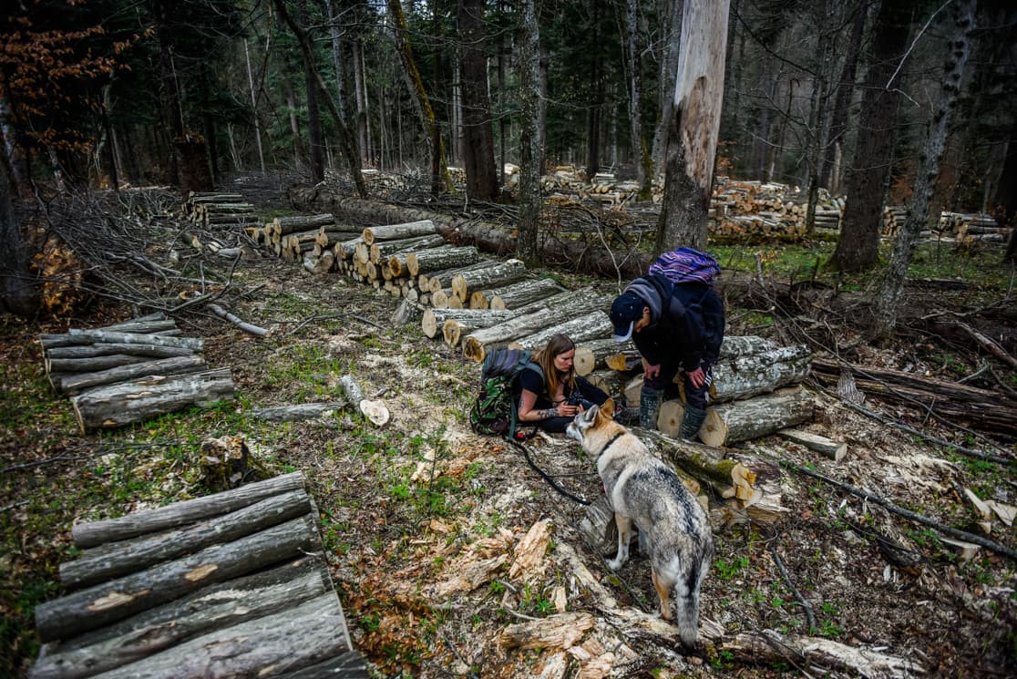 Photograph by Omar Marques — turnicki 13 of 15