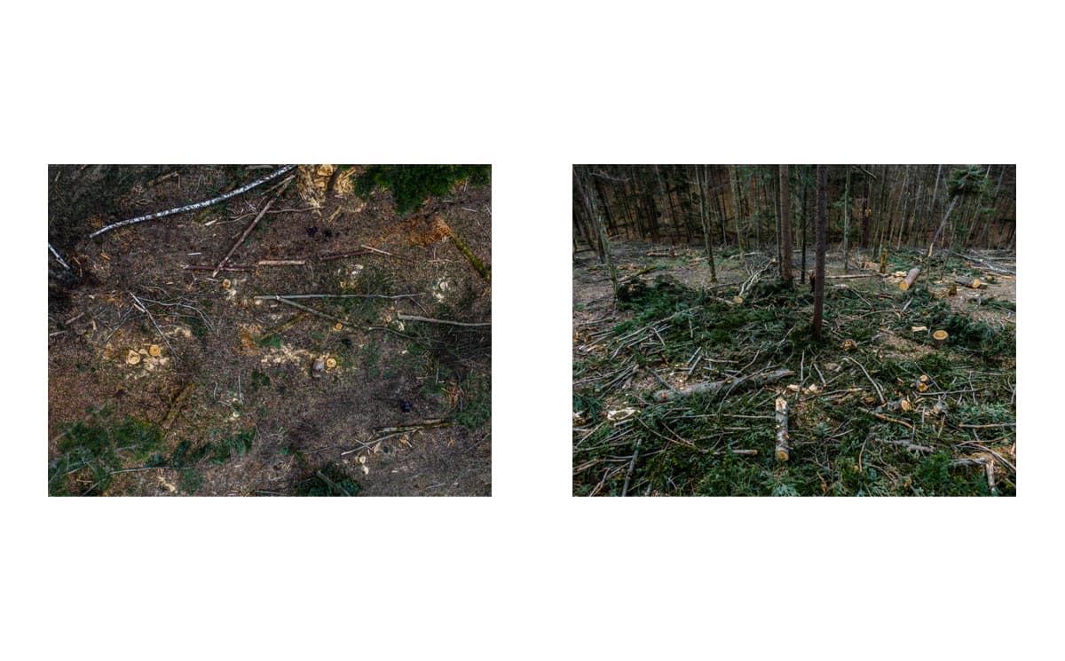 Photograph by Omar Marques — turnicki 14 of 15