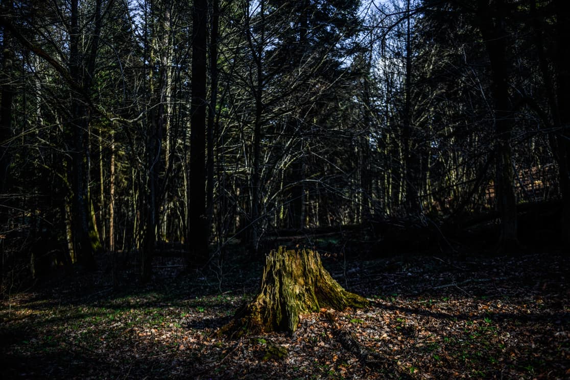 Photograph by Omar Marques — turnicki 2 of 15
