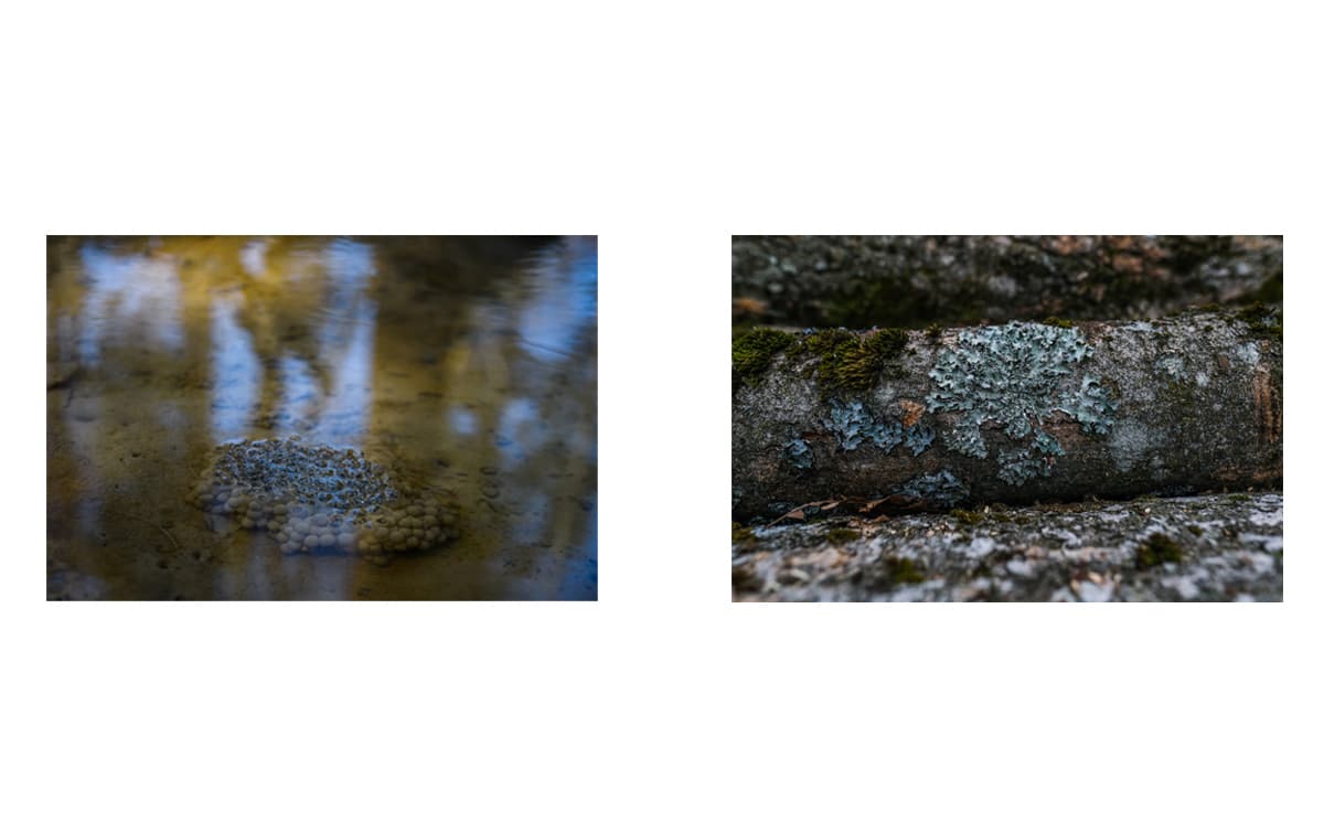 Photograph by Omar Marques — turnicki 5 of 15
