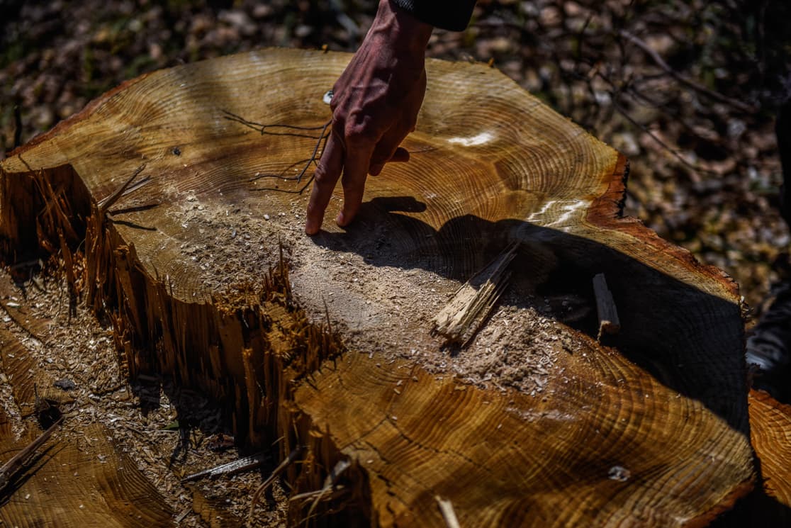 Photograph by Omar Marques — turnicki 6 of 15