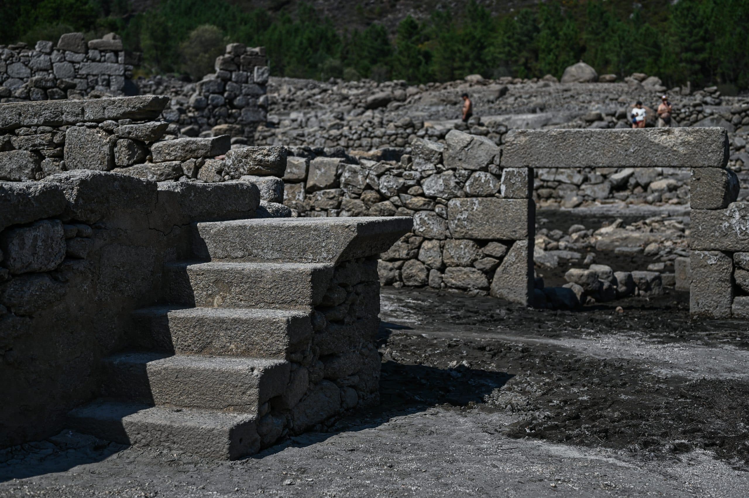 Photograph by Omar Marques — Omar iberian 10 of 12 scaled
