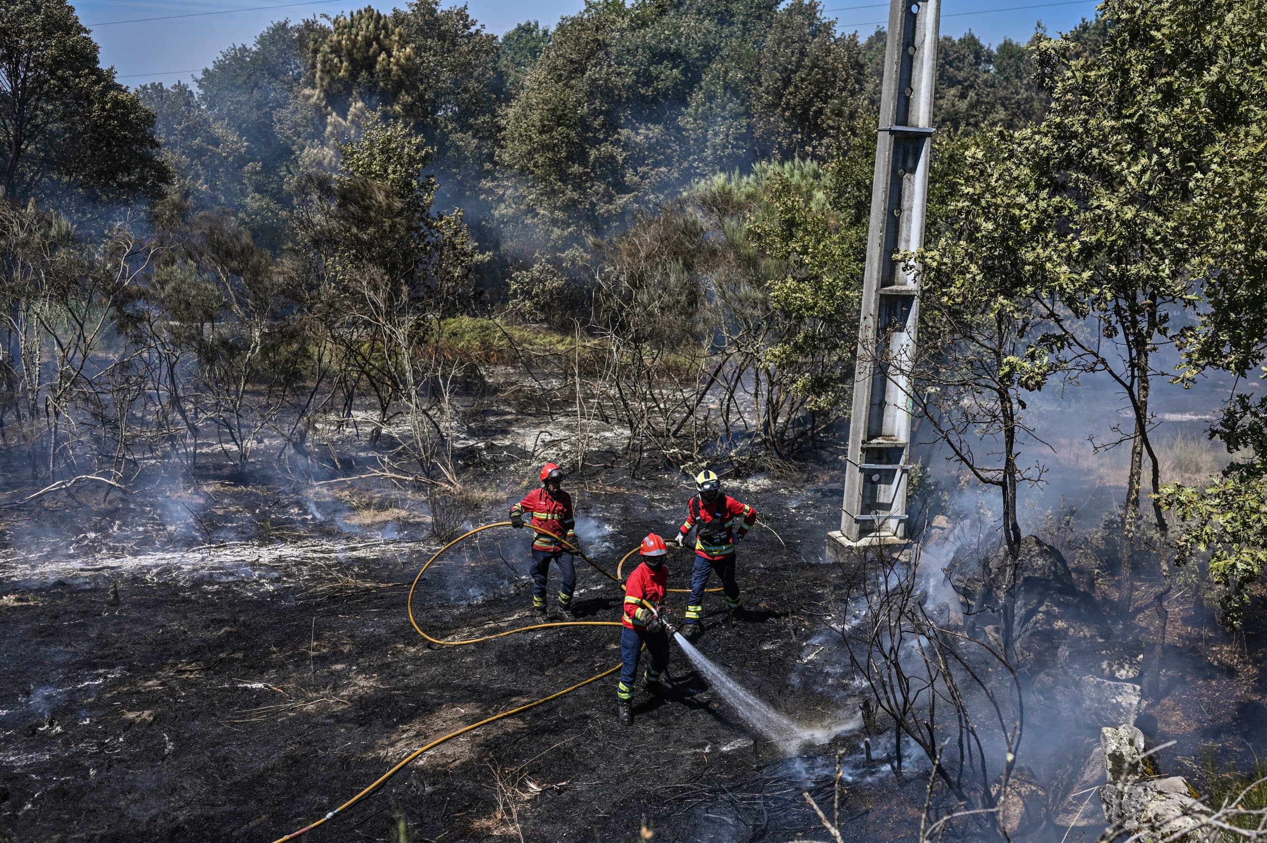 Photograph by Omar Marques — Omar iberian 4 of 12 scaled