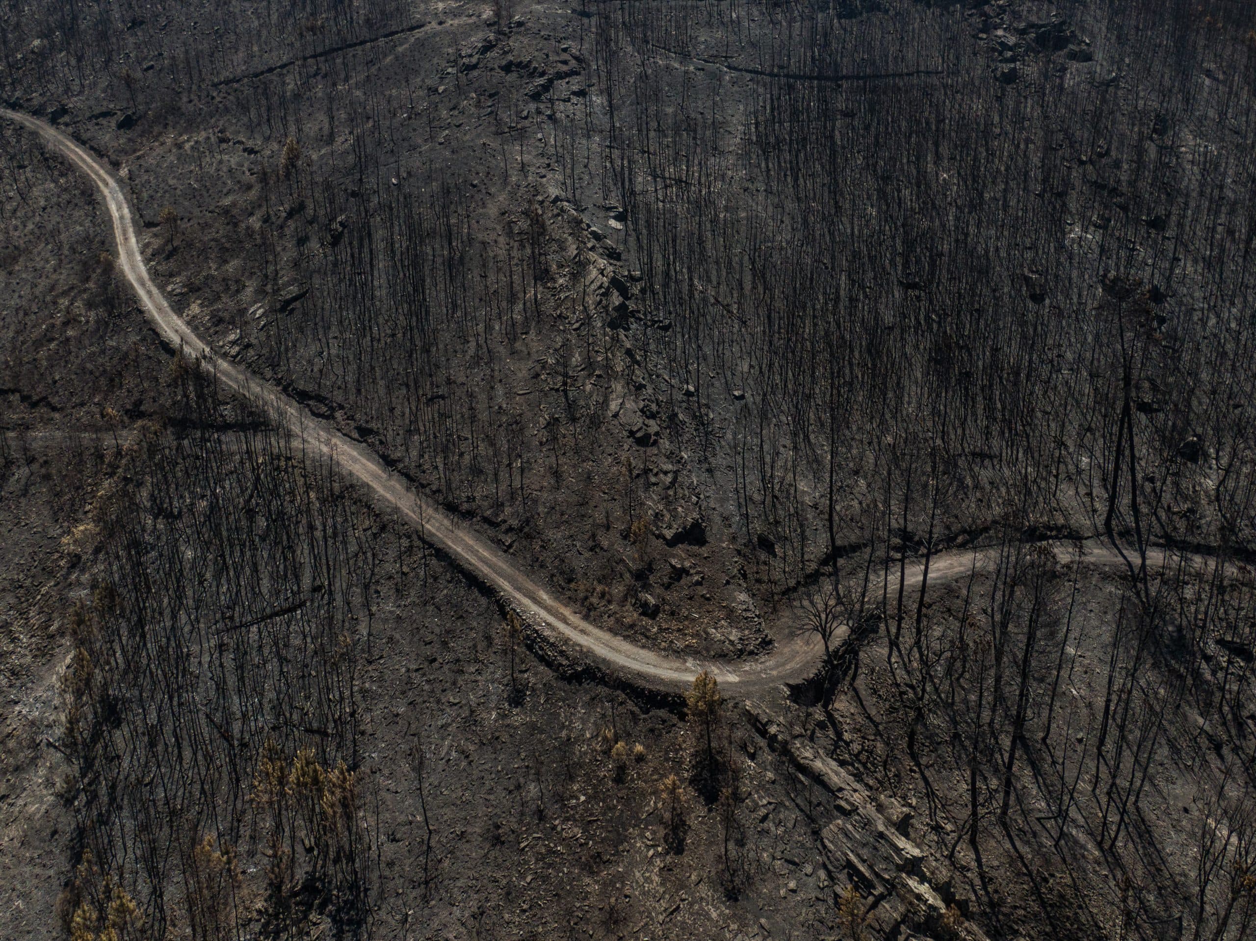 Photograph by Omar Marques — Omar iberian 5 of 12 scaled