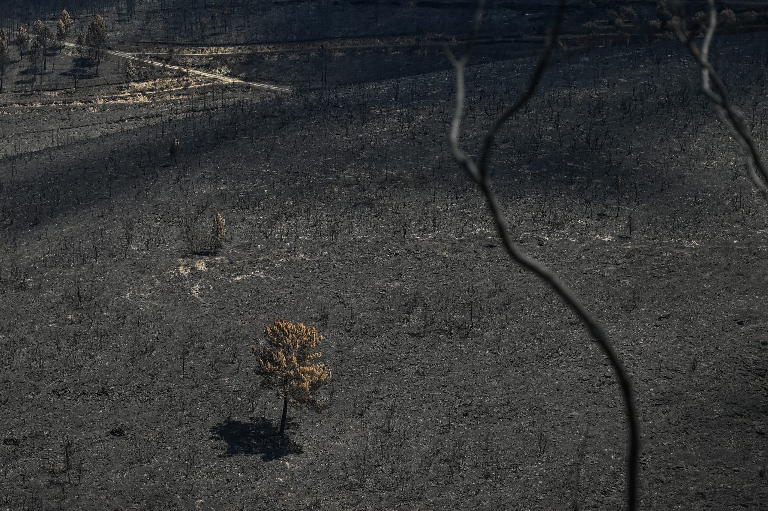 Photograph by Omar Marques — Omar iberian 9 of 12 scaled